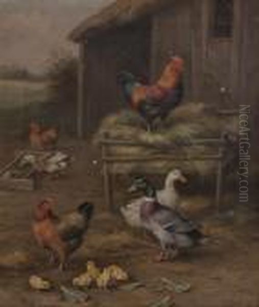 Chickens And Ducks - view 1