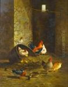 Poultry And A Duck In A Barn by Edgar Hunt