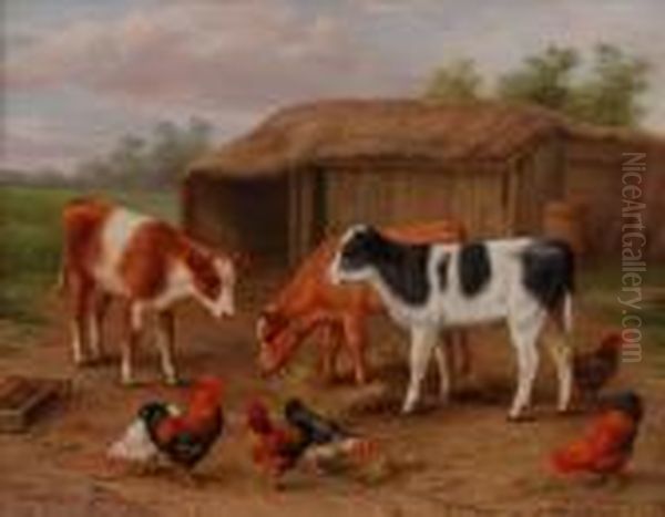 Cockerells, Hens Andcalves Outside A Hutch - view 1