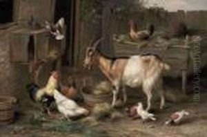 The Happy Farmyard