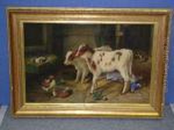 Calves And Chickens In A Barn - view 1