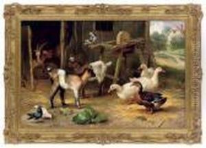 Goats, Ducks And Pigeons Near A Barn Door