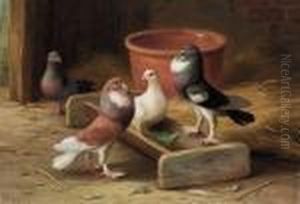 Pigeons by Edgar Hunt