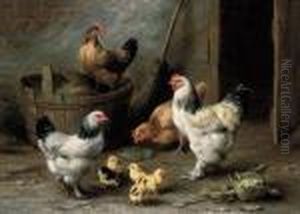 Cockrell, Hens And Chicks By A Barn Door