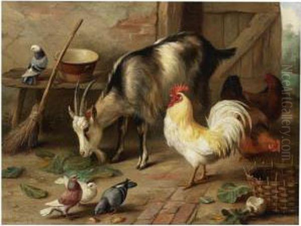 A Goat, Chicken And Doves In A Stable - view 1