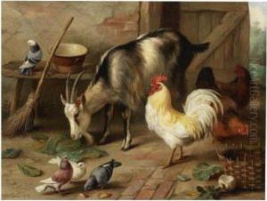 A Goat, Chicken And Doves In A Stable