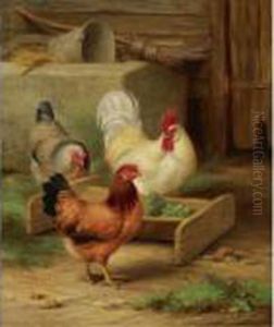 Poultry Feeding In A Barn