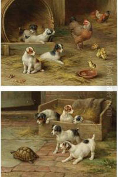Puppies And Chickens And Puppies And A Tortoise - view 1