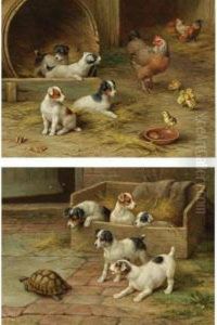 Puppies And Chickens And Puppies And A Tortoise by Edgar Hunt
