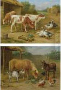 Calves And Geese, And A Pony, Donkey, Goat And Chickens