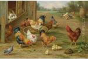 Farmyard Serenity