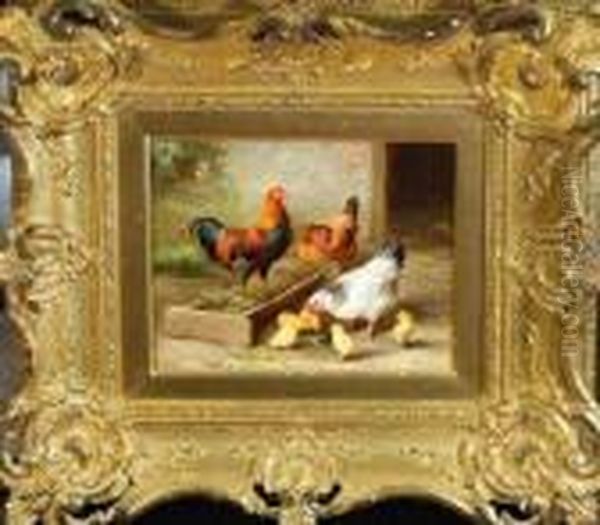 A Cockerel, Two Hens And Five Chicks In A Farmyard - view 1