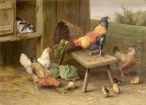 Chickens And Chicks With A Rabbit