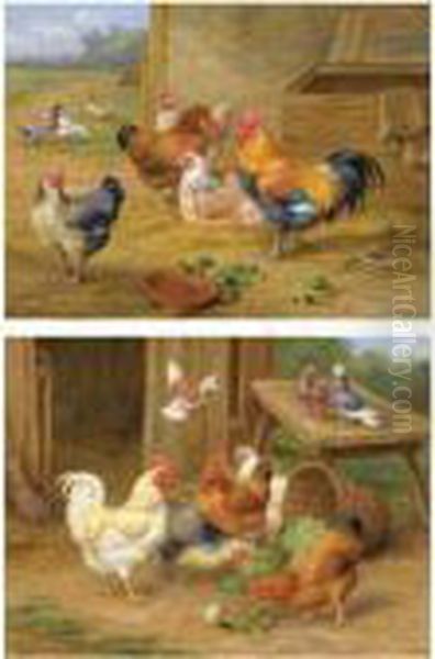 Cockerel And Hen; Chickens And Pigeons - view 1