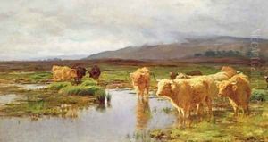 Moorlands and Mist by Duncan McLaurin