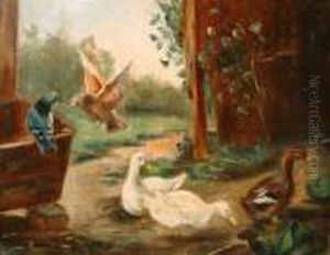 Ducks In A Farm Yard