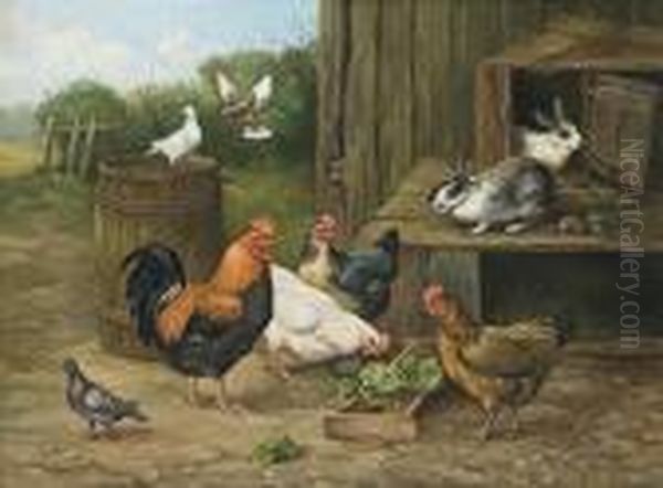 Rooster, Hens, Rabbits And - view 1