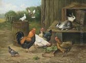 Rooster, Hens, Rabbits And