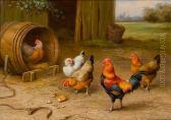 Chickens In A Farmyard - view 1