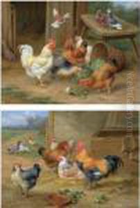 The Pecking Order; King Of The Roost