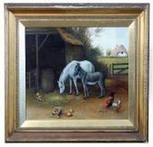 Donkey, Pony, Chickens By A