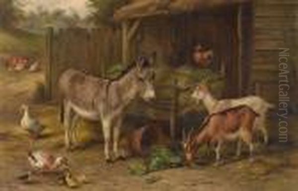 Farmyard Scene With Donkey, Goats, Chickens And Ducks - view 1