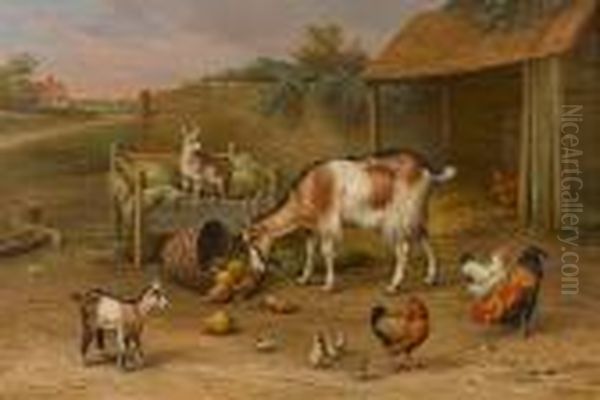 Goats, Chickens And Chicks In A Farmyard - view 1