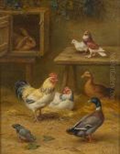 Chickens, Ducks, Pigeons And A Rabbit In A Farmyard - view 1