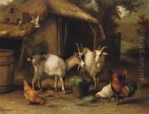 Goats, Chickens And Doves In A Farmyard by Edgar Hunt