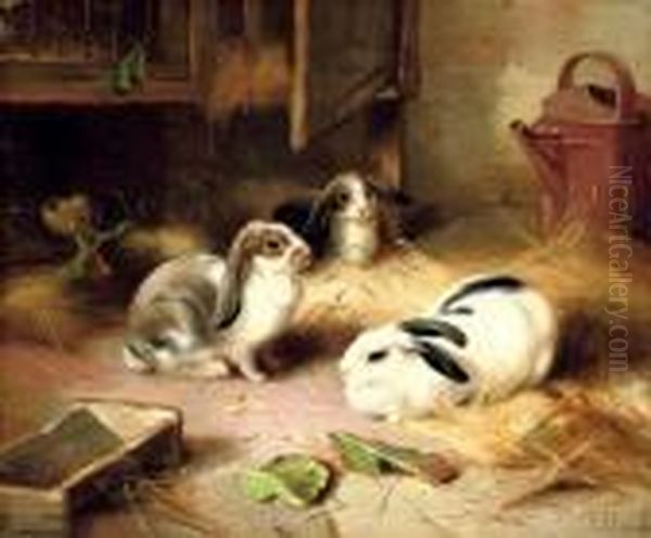 Emily's Pets - view 1