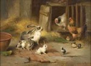 Rabbits, Cockerels And Chicks In A Farmyard