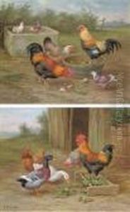 Chickens And Doves; And Chickens And Ducks by Edgar Hunt