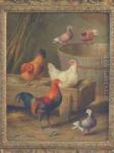 Studies Of Chickens,chicks And Pigeons, A Pair by Edgar Hunt