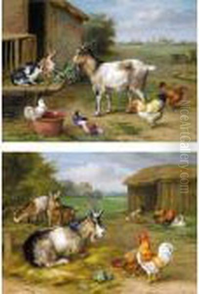 Feeding Time - view 1