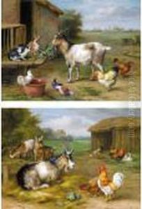 Feeding Time