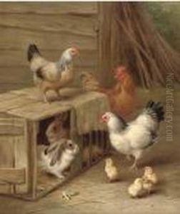 A Cockeral, Hens, Chicks And Rabbits