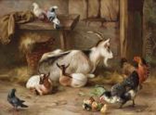 Goats, Chickens And Pigeons In A Farmyard - view 1
