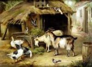 Farmyard Friends, With Terrier And Doves