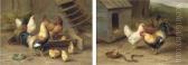 Chickens Intrigued By A Dog Biscuit; Chickens And Chicks Feeding - view 1