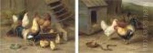 Chickens Intrigued By A Dog Biscuit; Chickens And Chicks Feeding by Edgar Hunt