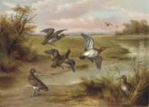 Snipe By A Stream by Edgar Hunt