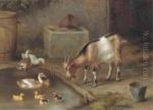 The Duck Pond; And Chickens In A Yard