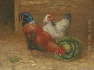 Ten Poultry Studies, Two Fruit Still Lives, A Maritime Scene And Astudy Of Cats by Edgar Hunt