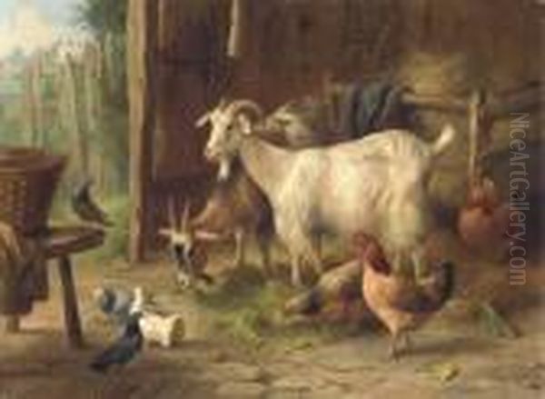 Goats, Chickens, Pigeons And A Dove In A Barn - view 1