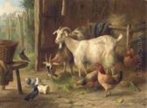 Goats, Chickens, Pigeons And A Dove In A Barn