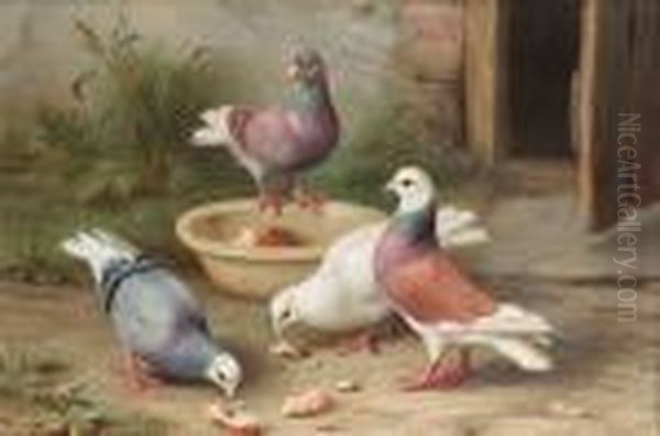Pigeons In A Courtyard - view 1