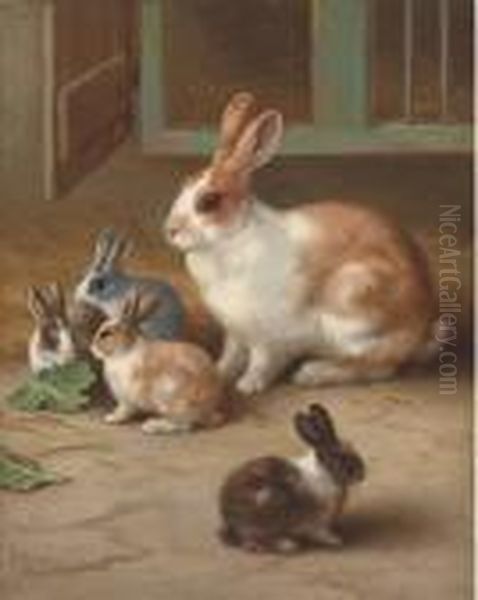 Bunnies - view 1