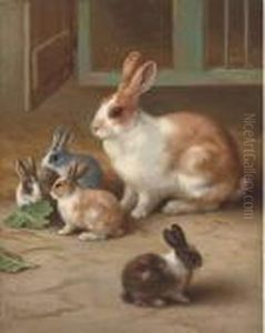 Bunnies
