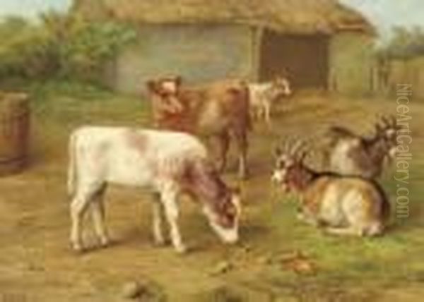 Calves And Goats In A Barnyard; Also Calves, A Goat And Kids - view 1