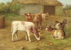 Calves And Goats In A Barnyard; Also Calves, A Goat And Kids by Edgar Hunt